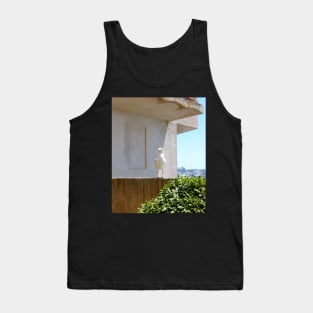 A Seagull in Corsica Tank Top